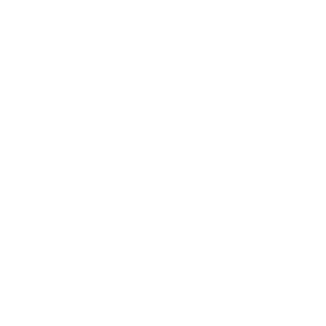 Medicaid Financing Icon